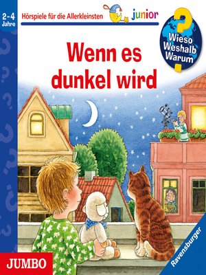cover image of Wenn es dunkel wird  [Wieso? Weshalb? Warum? JUNIOR Folge 28]